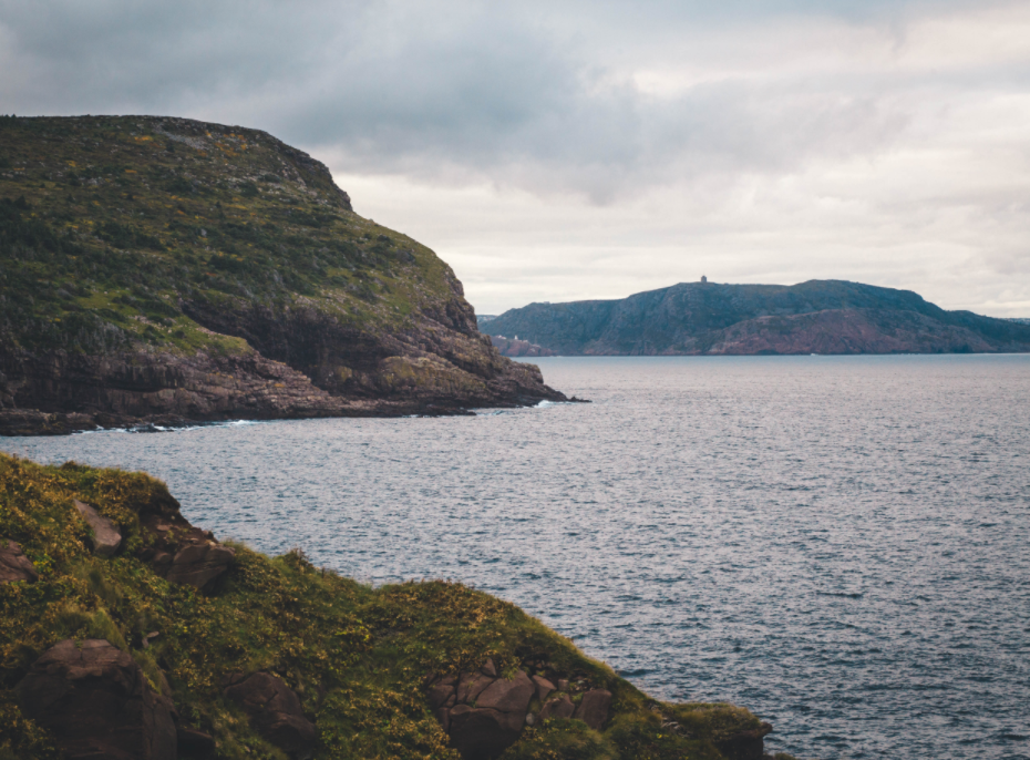 Shoreline
