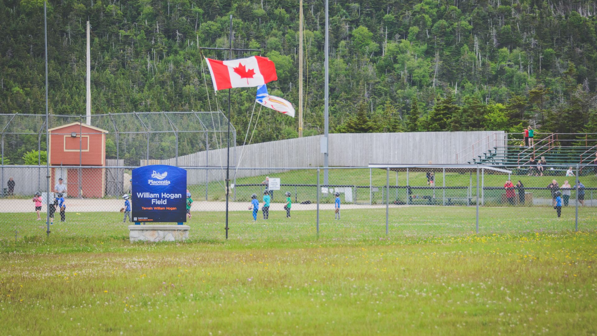 William Hogan Ball Field