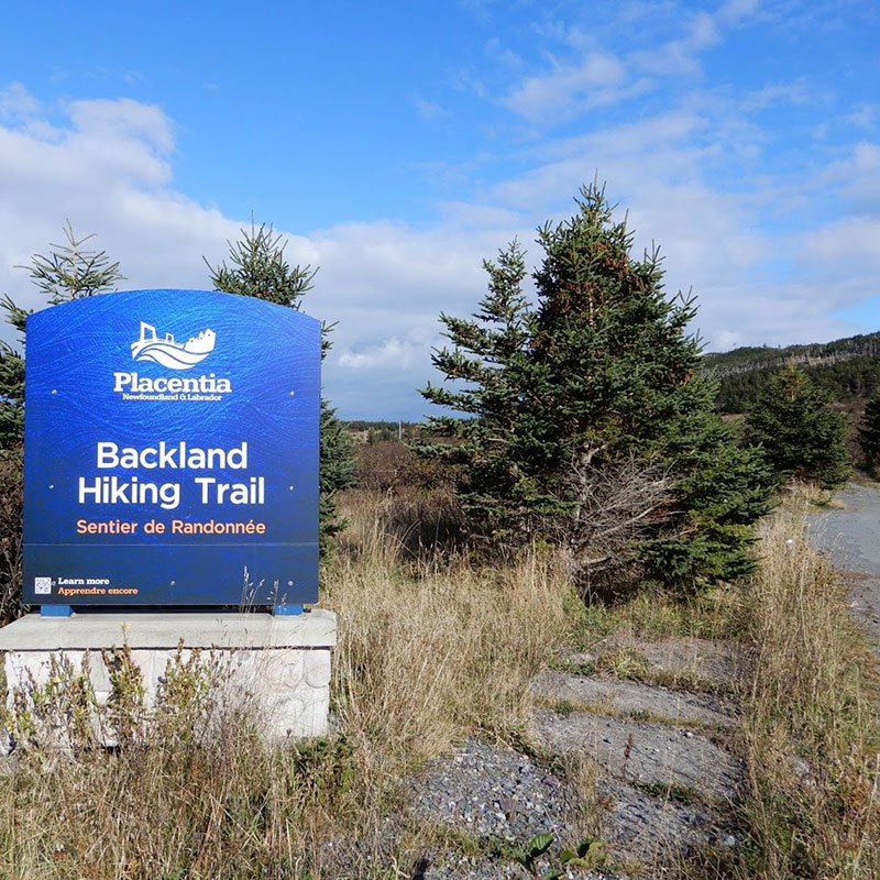 Argentia Backlands Trail